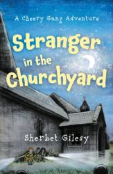 Stranger in the Churchyard (ISBN: 9781836286004)