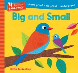 Barefoot Baby-Proof: Big and Small (ISBN: 9798888593110)