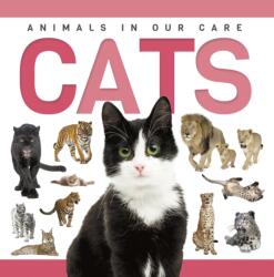Cats (ISBN: 9781952455353)