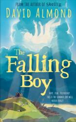 The Falling Boy (ISBN: 9781444970616)