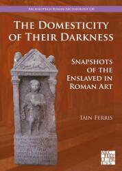 The Domesticity of Their Darkness (ISBN: 9781805831150)