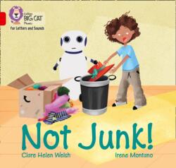 Not Junk! (ISBN: 9780008379599)