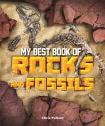 My Best Book of Rocks and Fossils (ISBN: 9780753445099)