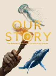Our Story (ISBN: 9781399835008)
