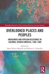 Overlooked Places and Peoples (ISBN: 9781032721392)