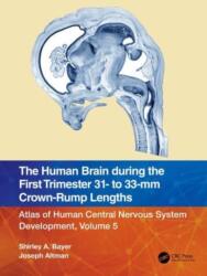 The Human Brain during the First Trimester 31- to 33-mm Crown-Rump Lengths (ISBN: 9781032183329)