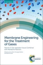 Membrane Engineering for the Treatment of Gases (ISBN: 9781782628750)