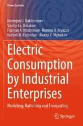Electric Consumption by Industrial Enterprises (ISBN: 9783031626784)