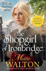 The Shopgirl of Ironbridge (ISBN: 9781802798265)