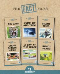 Phonic Books The Fact Files 2 (ISBN: 9780241741641)