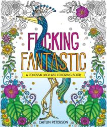 F*cking Fantastic (ISBN: 9781250389091)
