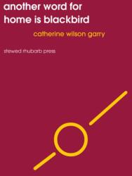 Another word for home is blackbird (ISBN: 9781910416266)