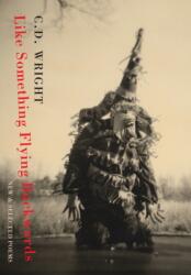 Like Something Flying Backwards (ISBN: 9781852247621)
