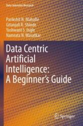 Data Centric Artificial Intelligence: A Beginner's Guide (ISBN: 9789819963553)