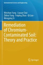 Remediation of Chromium-Contaminated Soil: ? Theory and Practice? (ISBN: 9789819954650)