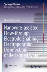Nanowire-assisted Flow-through Electrode Enabling Electroporation Disinfection of Reclaimed Water (ISBN: 9789819945047)