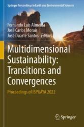 Multidimensional Sustainability: Transitions and Convergences (ISBN: 9783031248948)