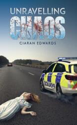 Unravelling Chaos (ISBN: 9781035808212)
