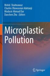 Microplastic Pollution (ISBN: 9789819983599)