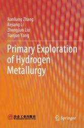 Primary Exploration of Hydrogen Metallurgy (ISBN: 9789819968299)