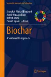 Biochar (ISBN: 9789819742516)