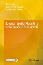 Bayesian Spatial Modelling with Conjugate Prior Models (ISBN: 9783031654176)