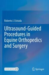 Ultrasound-Guided Procedures in Equine Orthopedics and Surgery (ISBN: 9783031175640)