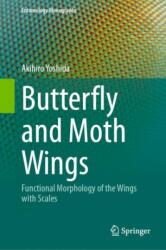 Butterfly and Moth Wings (ISBN: 9789819797103)