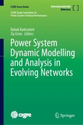 Power System Dynamic Modelling and Analysis in Evolving Networks (ISBN: 9783031478208)