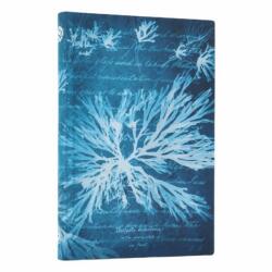Sea Flowers (ISBN: 9780349713694)