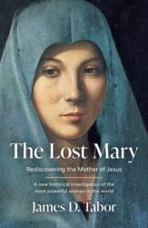 The Lost Mary (ISBN: 9780008812096)