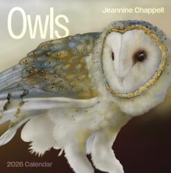 Owls: Jeannine Chappell 2026 Wall Calendar (ISBN: 9781087511795)