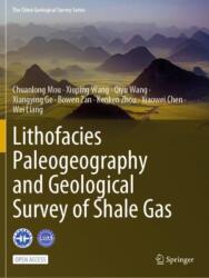 Lithofacies Paleogeography and Geological Survey of Shale Gas (ISBN: 9789811988639)