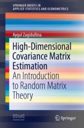 High-Dimensional Covariance Matrix Estimation (ISBN: 9783030800642)
