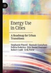 Energy Use in Cities (ISBN: 9783030556037)