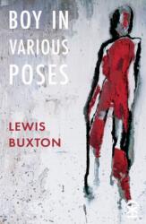Boy in Various Poses (ISBN: 9781913437138)