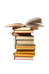 Probate Disputes and Remedies (ISBN: 9781784732899)