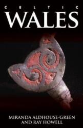 Celtic Wales (ISBN: 9781786830425)