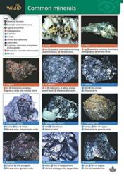 Guide to Common Minerals (ISBN: 9781851538973)