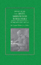 History of the 1st Battalion Sherwood Foresters (Notts. and Derby Regt. ) in the Boer War 1899-1902 (ISBN: 9781843421788)