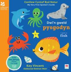 Dwi'n Gweld Pysgodyn / I Spot a Fish (ISBN: 9781804164518)