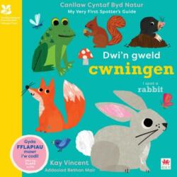 Dwi'n Gweld Cwningen / I Spot a Rabbit (ISBN: 9781804164501)