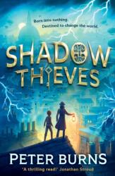 Shadow Thieves (ISBN: 9780008667818)