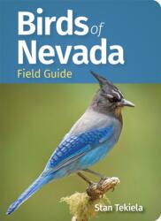 Birds of Nevada Field Guide (ISBN: 9781647554217)