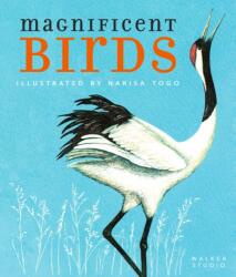 Magnificent Birds (ISBN: 9781406393088)
