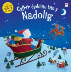 Cyfri'r Dyddiau tan y Nadolig (ISBN: 9781849676281)