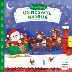 Cyfres Storiau Cyntaf: Un Noswyl Nadolig (ISBN: 9781849674928)