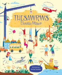 Thesawrws Lluniau Mawr (ISBN: 9781849670760)