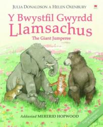 Y Bwystfil Gwyrdd Llamsachus (ISBN: 9781849673822)