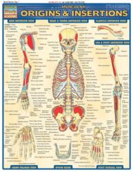 Muscular Origins & Insertions (ISBN: 9781572227545)